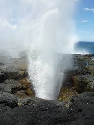 blowholes