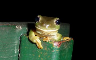 travel1 071 - Copy (2)